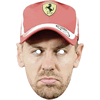 2303 - Sebastian Vettel Mask